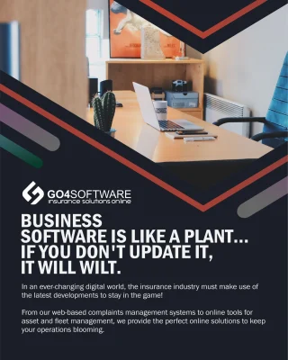 Instagram post from go4software. This post is in position 1.